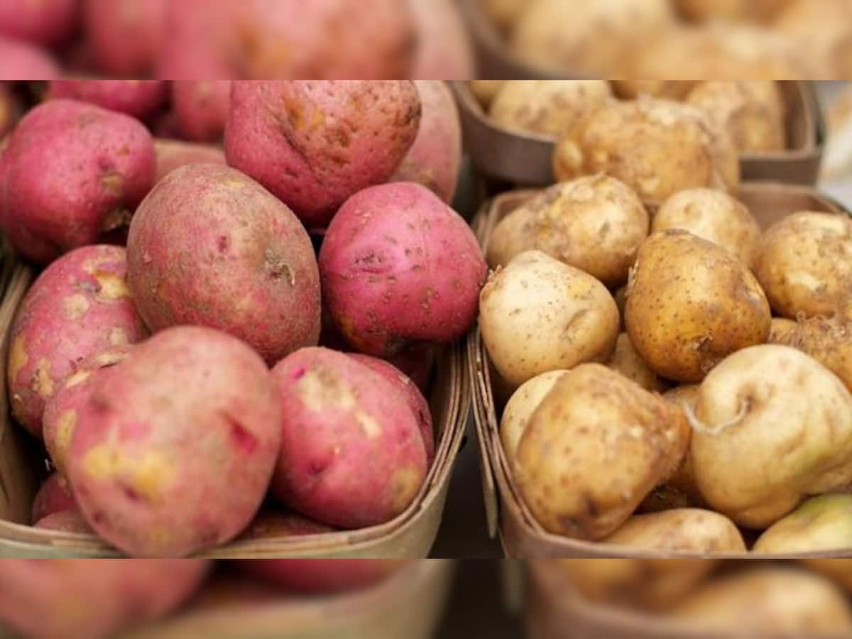 Red Potato: લાલ બટેટાના પોષકતત્વો અને ફાયદા જાણશો તો સફેદ બટેટા ખાવાનું છોડી દેશો 