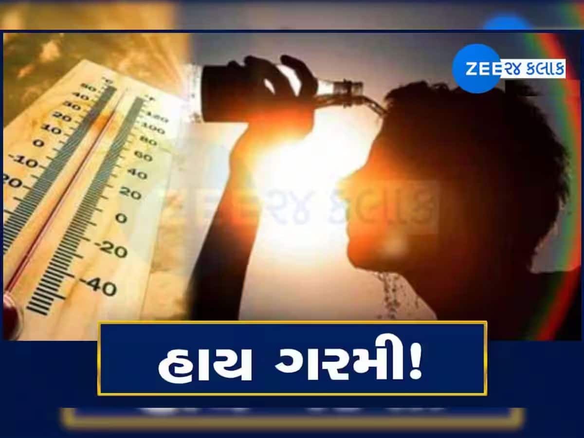 Heatwave: ગરમીએ મચાવ્યો હાહાકાર, દિલ્હીમાં 52 ડિગ્રી ઉપર તાપમાન, બિહારમાં 80 બાળકો થયા બેભાન