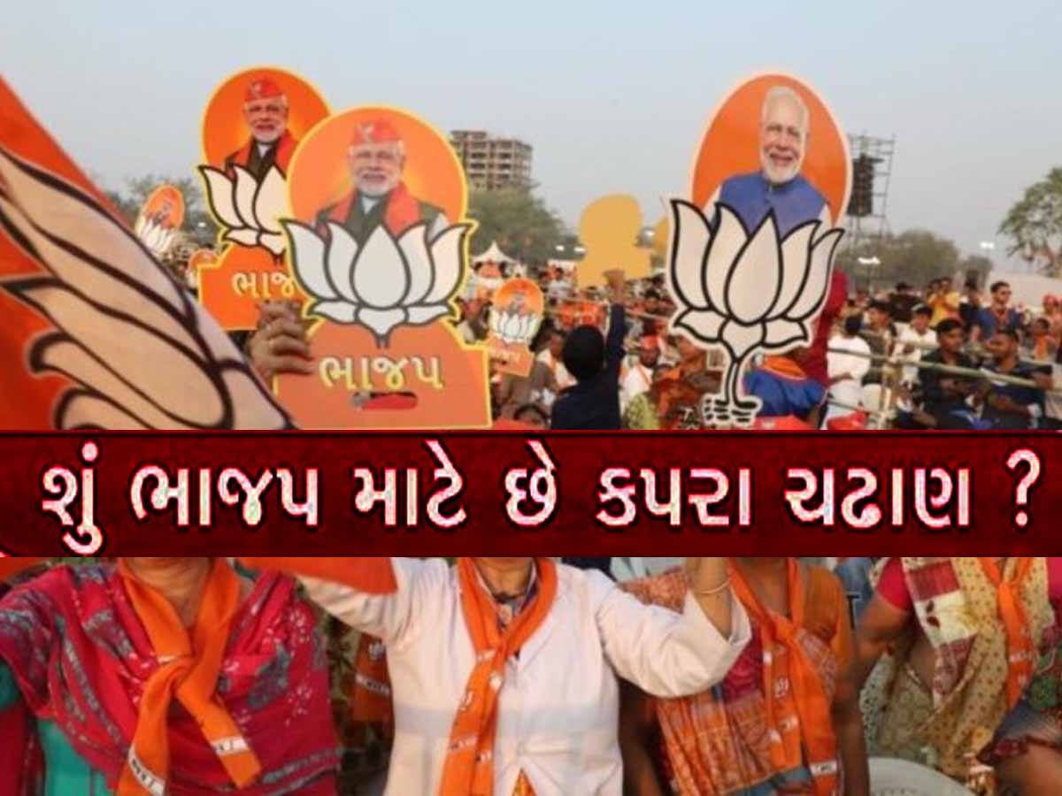 'ગુજરાતમાં ક્લિનસ્વીપ નહીં કરી શકે ભાજપ, વોટ શેર પણ ઘટશે', આ ભવિષ્યવાણીથી દેશમાં ભૂકંપ! 'ગુજરાતમાં ક્લિનસ્વીપ નહીં કરી શકે ભાજપ, વોટ શેર પણ ઘટશે', આ ભવિષ્યવાણીથી દેશમાં ભૂકંપ!