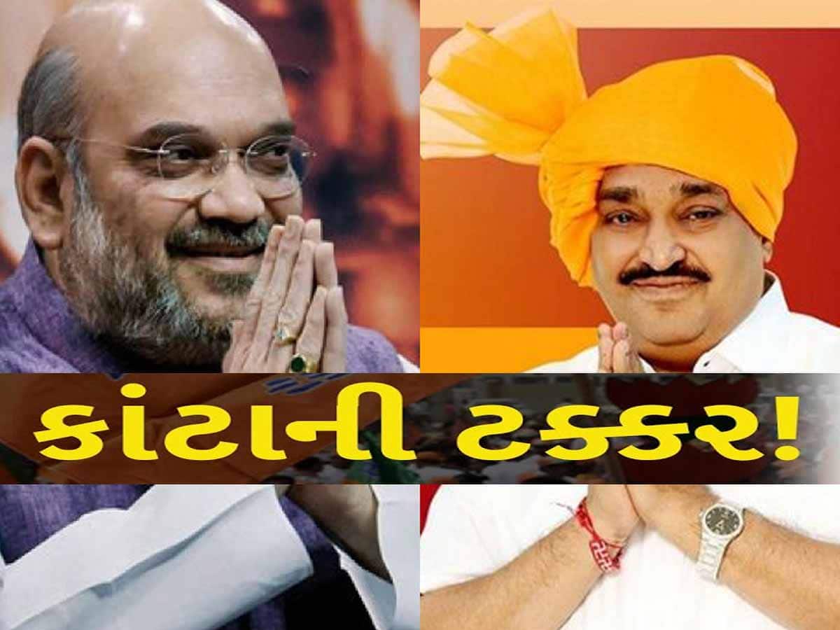 Gujarat Exit Poll 2024: કઈ બેઠકો પર 5 લાખની લીડનો ટાર્ગેટ થશે સાકાર? શાહ કે પાટીલ કોણે મળશે સૌથી વધુ લીડ