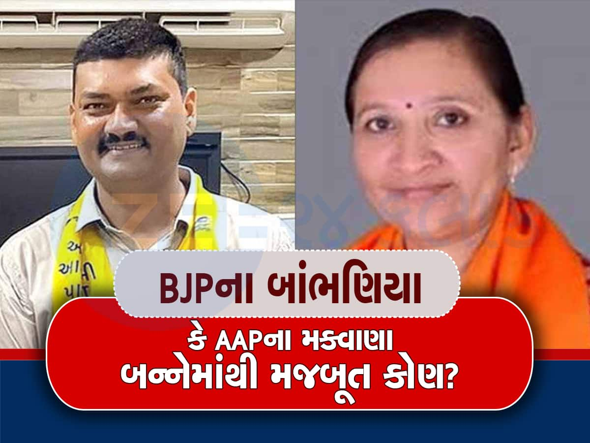 Bhavnagar Lok Sabha Chunav Result: ભાવનગર બેઠક પર ભાજપના ઉમેદવારની ભવ્ય જીત, નિમુબેન 4 લાખની લીડ તરફ