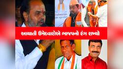 પેટાચૂંટણીમાં ભગવો લહેરાયો : વિધાનસભાની પાંચેય બેઠકો ભાજપે કબજે કરી, કોંગ્રેસની હાર 