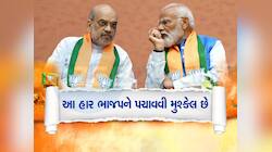 ભાજપને ઝાટકા સમાન 15 મોટા પરિણામ, આ મહારથીઓની હાર ભાજપ નહિ પચાવી શકે