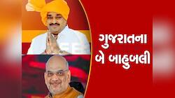 અમિત શાહ અને પાટીલની લીડ જોઈને ભલભલાને પરસેવો છૂટી જાય! તોડ્યો રેકોર્ડ