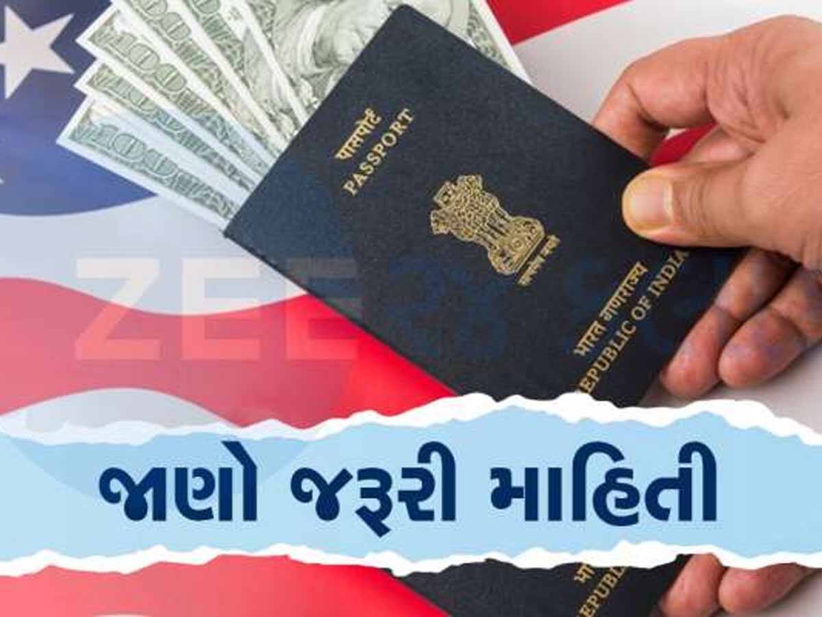 હવે Passport બનાવવો આસાન! વગર ડોક્યૂમેન્ટ્સે થશે કામ, મોબાઈલમાં દેખાડવી પડશે આ એપ