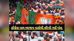 લોકસભા રિઝલ્ટ! ગુજરાતમાં 30 વિધાનસભા પર કોંગ્રેસ મજબૂત, ભાજપનો વોટશેર ઘટ્યો