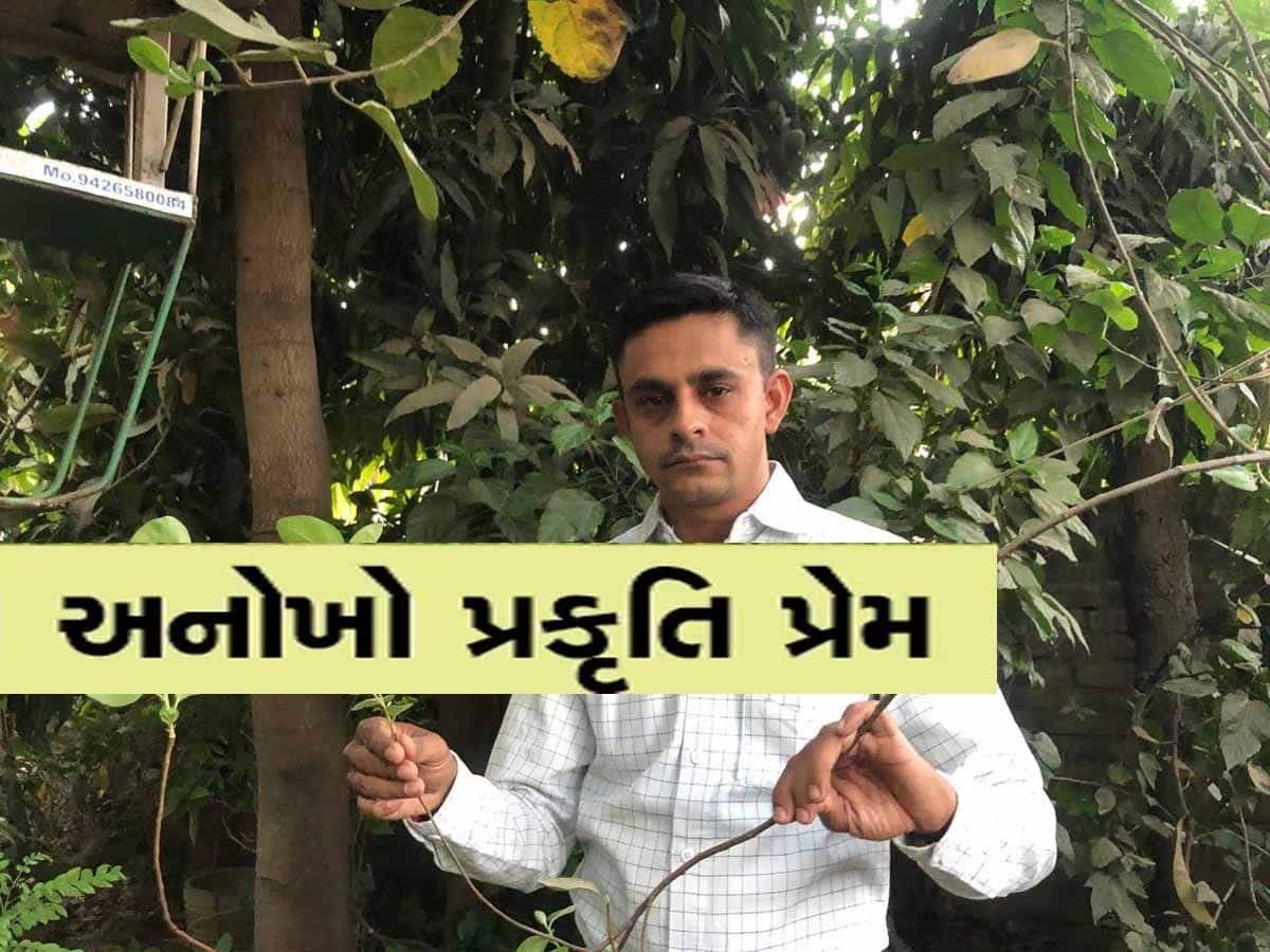 મહેસાણાના શિક્ષકના પ્રકૃતિ પ્રેમને દિલથી એક સલામ! પોતાના ઘરમાં જ ઊભું કરી દીધું મીની જંગલ