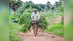 PM Kisan: આવી ગયો ખેડૂતોની આતૂરતાનો અંત, આ તારીખે ખાતામાં આવશે 2 હજાર રૂપિયા