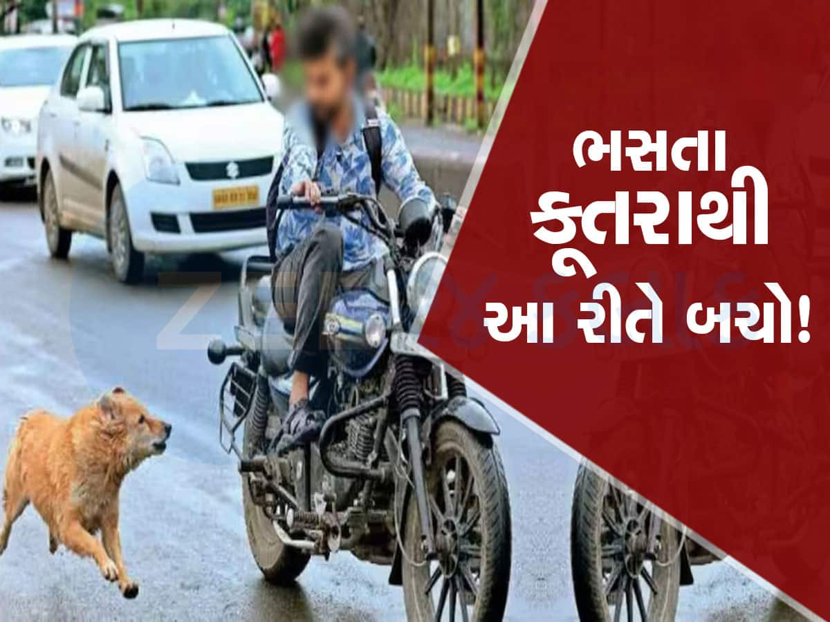 બાઈક ચાલકો....હવે તમારી પાછળ નહીં દોડે કૂતરા! મળી ગયા બચવાના સરળ જુગાડ