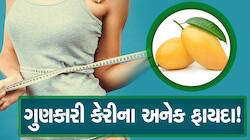 કેરી ખાલી મીઠી જ નથી સ્વાસ્થ્ય માટે પણ છે ગુણકારી, જાણો કેટલા ફાયદા છે?
