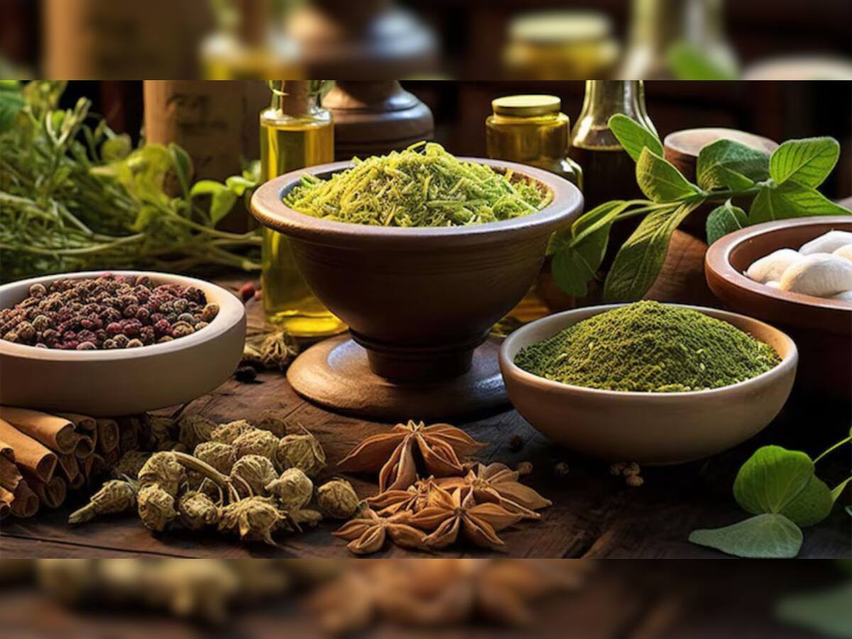 Ayurvedic Herbs: એકવાર વાંચો અને યાદ રહી જાય, યાદશક્તિને એટલી સારી બનાવે છે આ 4 આયુર્વેદિક જડીબુટ્ટીઓ