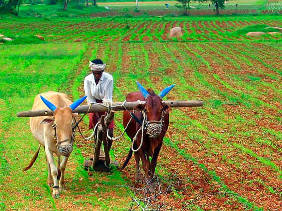 ગુજરાતના ખેડૂતો માટે માથાનો દુખાવો બનશે તોફાની પવન, ભીમ અગિયારસે વાવણી સમયે આવી શકે છે મોટું સંકટ 