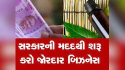 Startup Idea: 90% સુધી લોન અને 25 ટકા સુધી મળે છે સબ્સિડી, નોકરી છોડો અને આ ધંધો કરો