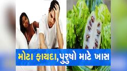 પુરુષોની 100 બીમારીઓ થશે કંટ્રોલ! પાચનથી 'પાવર' સુધી બધા પ્રોબ્લેમ સોલ્વ કરશે આ ફળ