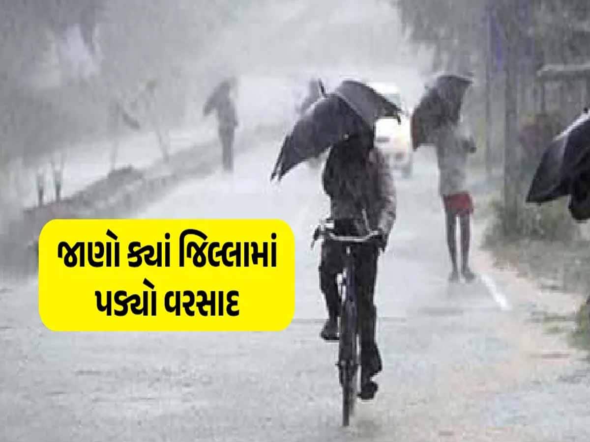 ગુજરાતના આ વિસ્તારોમાં મેઘરાજાએ બોલાવી ધડબડાટી! જાણો ક્યાં કેવો વરસ્યો વરસાદ?