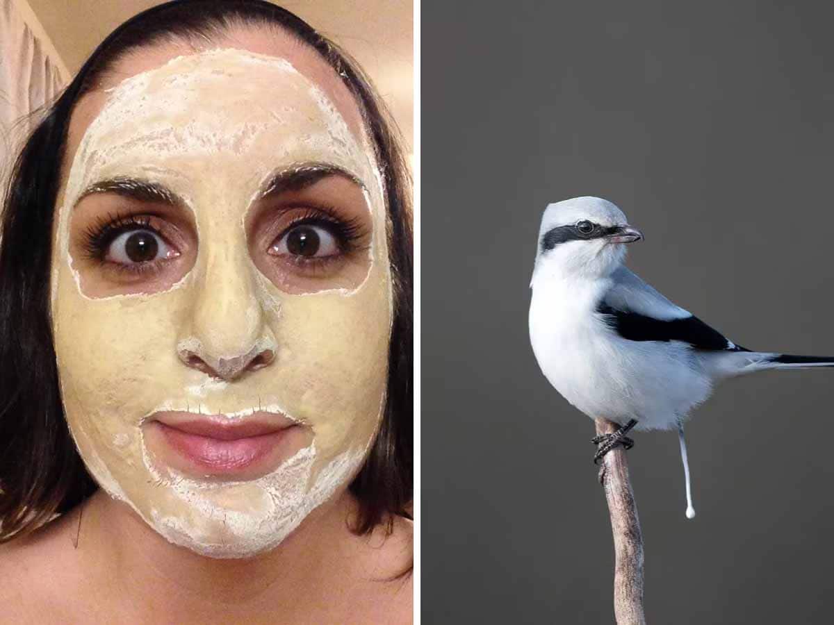 હદ થઈ! લોકો સુંદરતા માટે ચહેરા પર લગાવી રહ્યા છે ચકલીની પૉટી, જાણો શું છે Bird Poop Facial