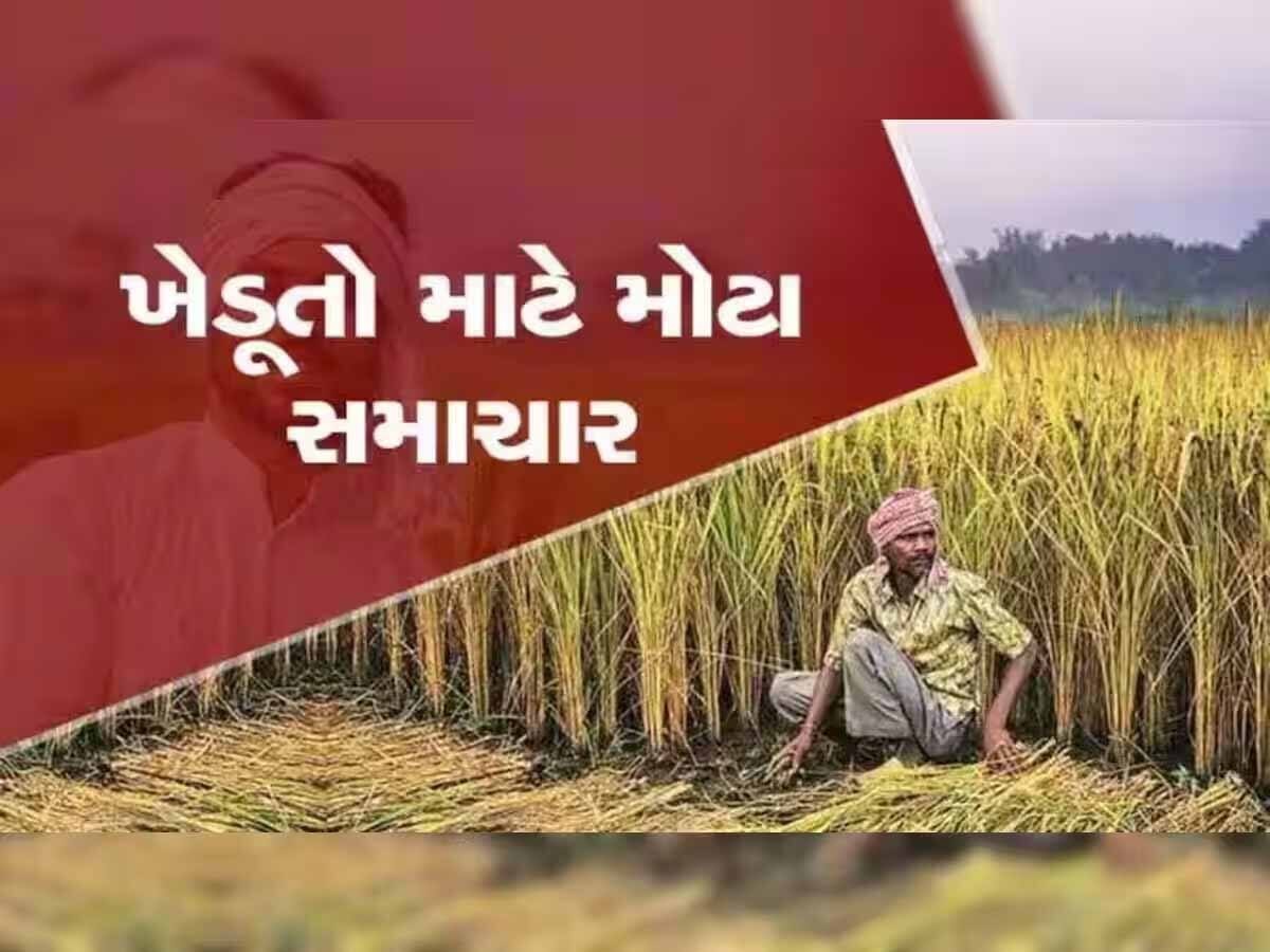 Modi Cabinet Meeting: MSPને લઈને મોદી સરકારની મોટી જાહેરાત, કેબિનેટની બેઠકમાં આ 14 પાકો પર લેવાયો નિર્ણય Modi Cabinet Meeting: MSPને લઈને મોદી સરકારની મોટી જાહેરાત, કેબિનેટની બેઠકમાં આ 14 પાકો પર લેવાયો નિર્ણય