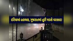 માછીમારોને દરિયો ન ખેડવા સૂચના; ગુજરાતના આ વિસ્તારો માટે આગામી 7 દિવસ ભારે!
