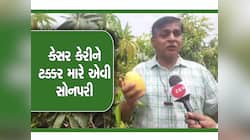 કેસર કેરીનું પત્તુ કપાયું! નવસારી બાદ હવે કચ્છના ખેડૂતે કરી બતાવ્યું, રણ પ્રદેશમાં ઉ