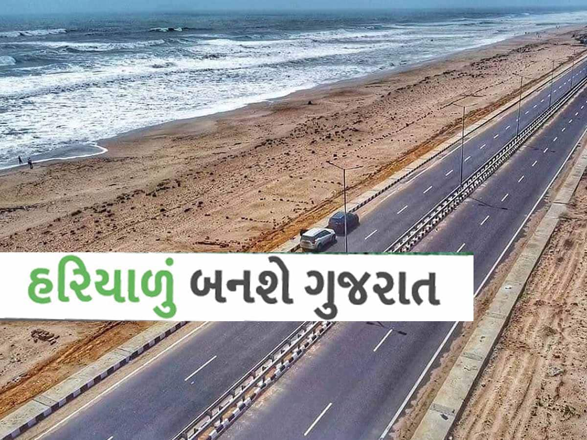 200 કિ.મી લાંબા દ્વારકા-સોમનાથ કોસ્ટલ હાઇ-વે આ રીતે બનશે હરિયાળો, સરકારનો છે આવો પ્લાન