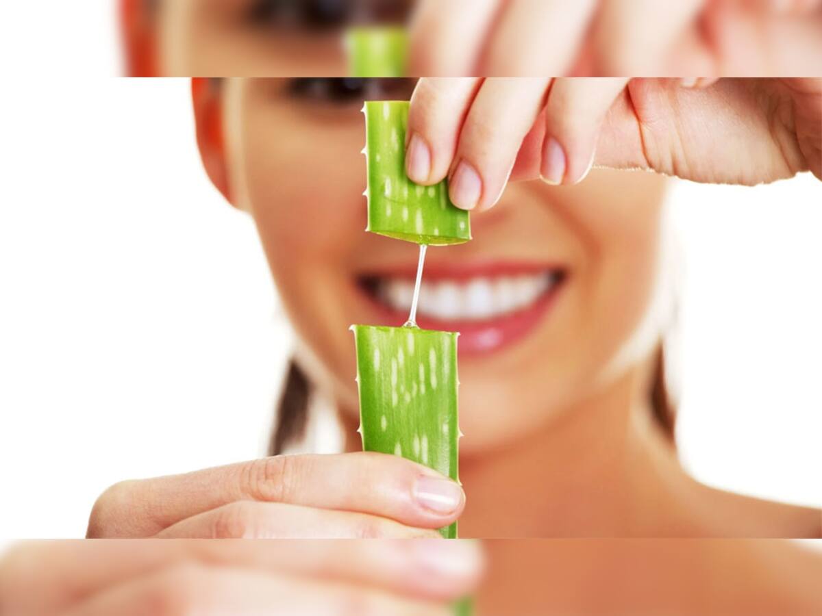 Aloe Vera: મોંઘી ટુથપેસ્ટ કરતાં વધારે ફાયદાકારક છે એલોવેરા, જાણી લો ઉપયોગ કરવાની રીત