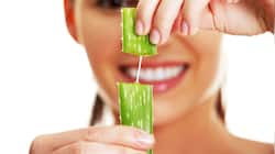Aloe Vera: મોંઘી ટુથપેસ્ટ કરતાં વધારે ફાયદાકારક છે એલોવેરા, જાણી લો ઉપયોગ કરવાની રીત