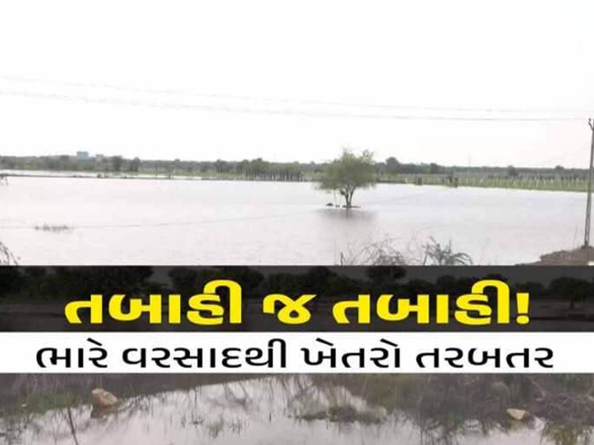 ચોમાસું શરૂ થતાં જ ગુજરાતમાં વરસાદે ક્યાં વેર્યો વિનાશ? 25 ગામોને સંક્ટ, આ દ્રશ્યો હૈયું વલોવી નાંખશે!