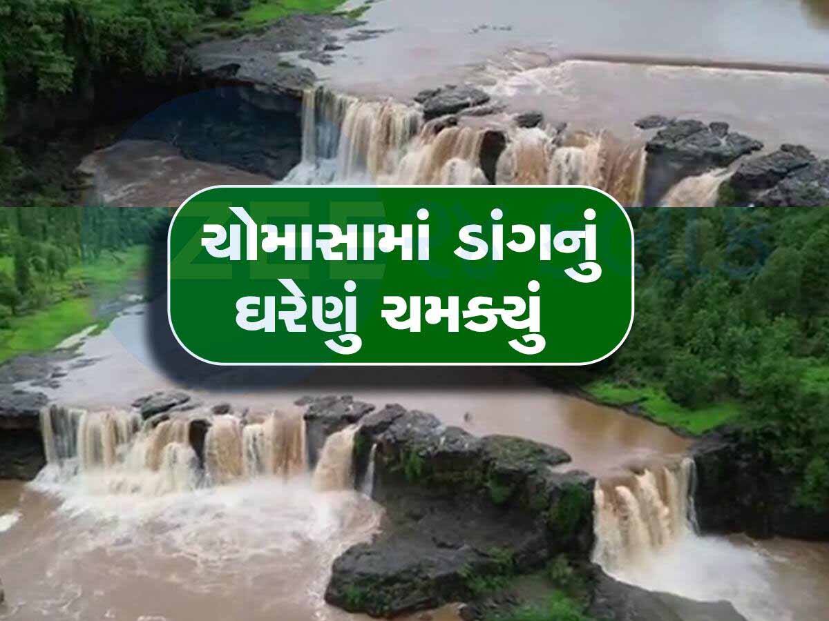  ગુજરાતના આ રમણીય સ્થળોએ સોળે કળાએ ખીલી ઉઠ્યું કુદરતી સૌંદર્ય, નદી-નાળા છલકાવા લાગ્યા!