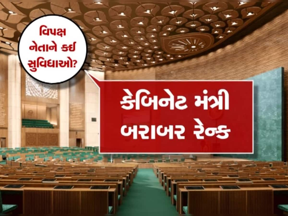 લોકસભામાં નેતા વિપક્ષ બનેલા રાહુલ ગાંધીને મળશે આ અધિકાર, જાણો કેટલું શક્તિશાળી છે આ પદ