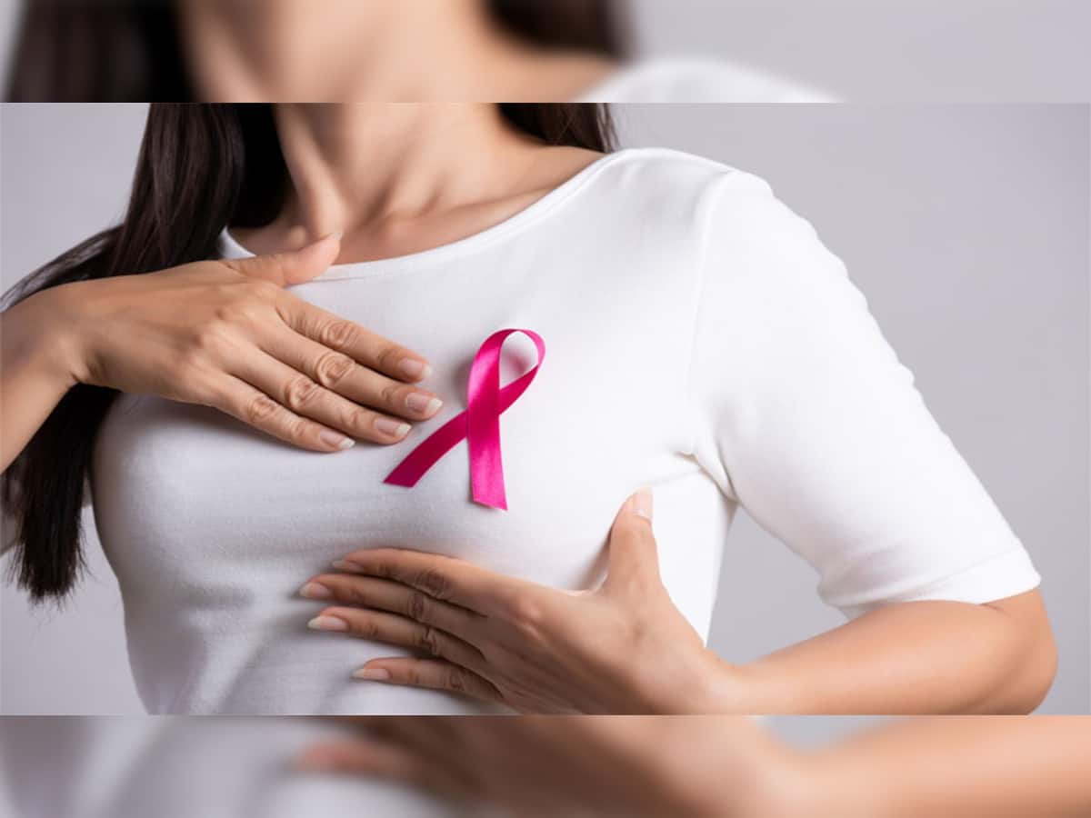 Flaxseed For Breast Cancer: આ બીજ ઘટાડી શકે છે બ્રેસ્ટ કેન્સરનું રિસ્ક, મહિલાઓ ડાયટમાં કરવા જોઈએ સામેલ
