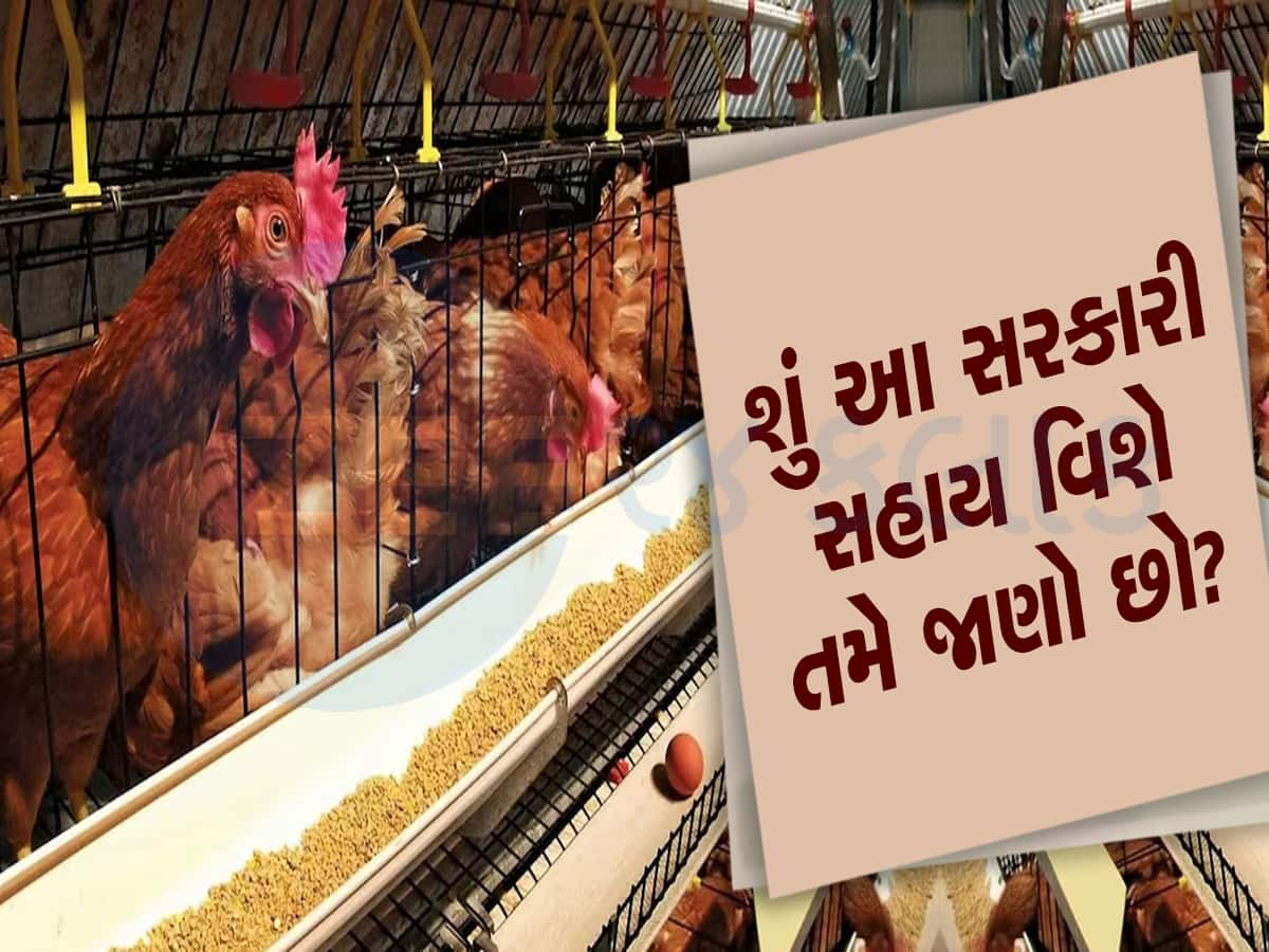 ગુજરાત સરકાર આ ટ્રેનિંગ માટે સામેથી આપે છે રૂપિયા, બિઝનેસ કરીને લાખો કમાવી શકાય છે