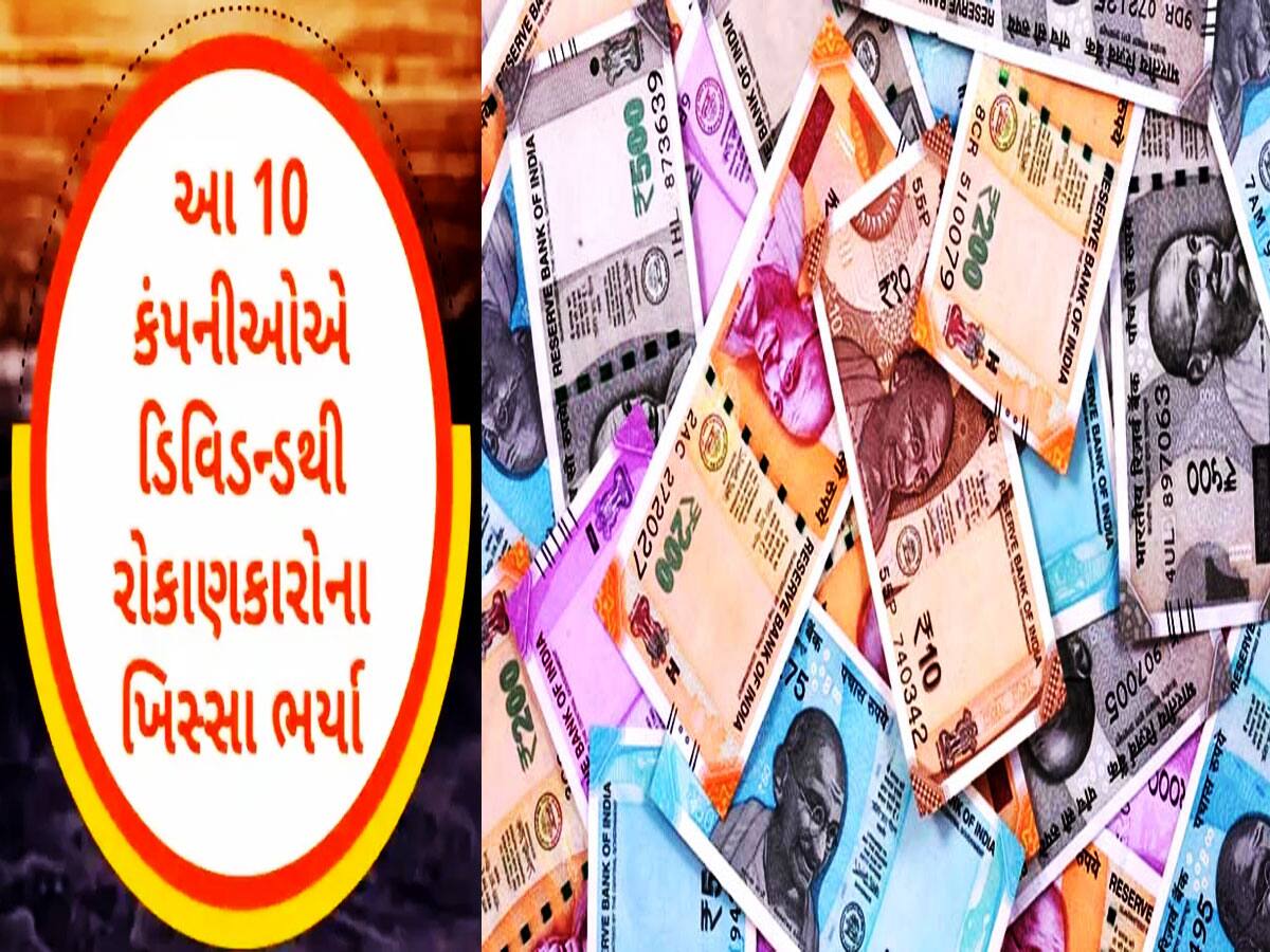 શું તમારી પાસે છે આ 10 કંપનીના શેર? કંપનીઓએ તગડુ ડિવિડન્ડ આપી કર્યો રૂપિયાનો વરસાદ