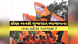 હરિયાણામાં પાર્ટી અધ્યક્ષની નિમણૂક બાદ ગુજરાતને ક્યારે મળશે નવા પ્રદેશ પ્રમુખ? ચર્ચા