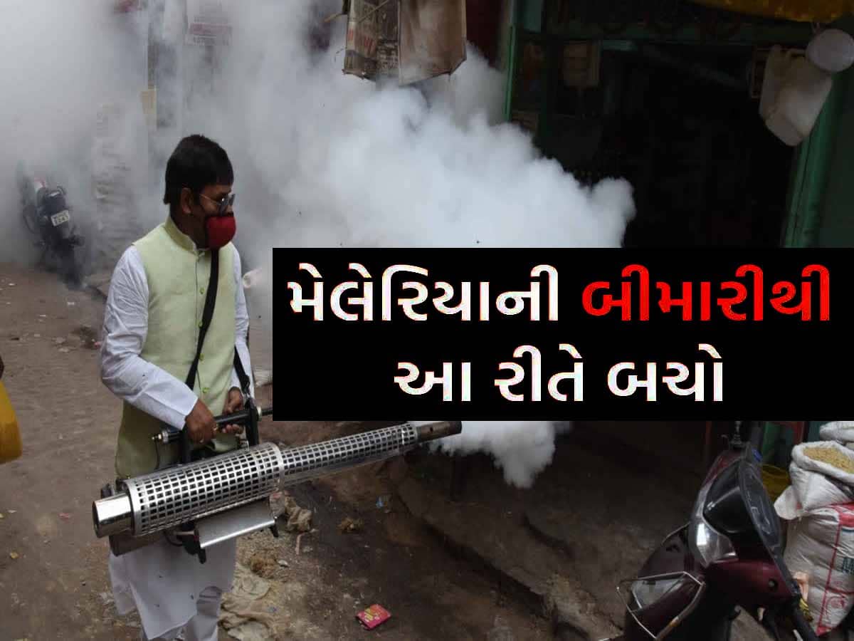 શું ગુજરાત સરકાર વર્ષ 2030 સુધીમાં આ રોગનું નામોનિશાન મિટાવી દેશે! આવો છે એક્શન પ્લાન