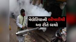 શું ગુજરાત સરકાર વર્ષ 2030 સુધીમા આ રોગનું નામોનિશાન મિટાવી દેશે! આવો છે એક્શન પ્લાન