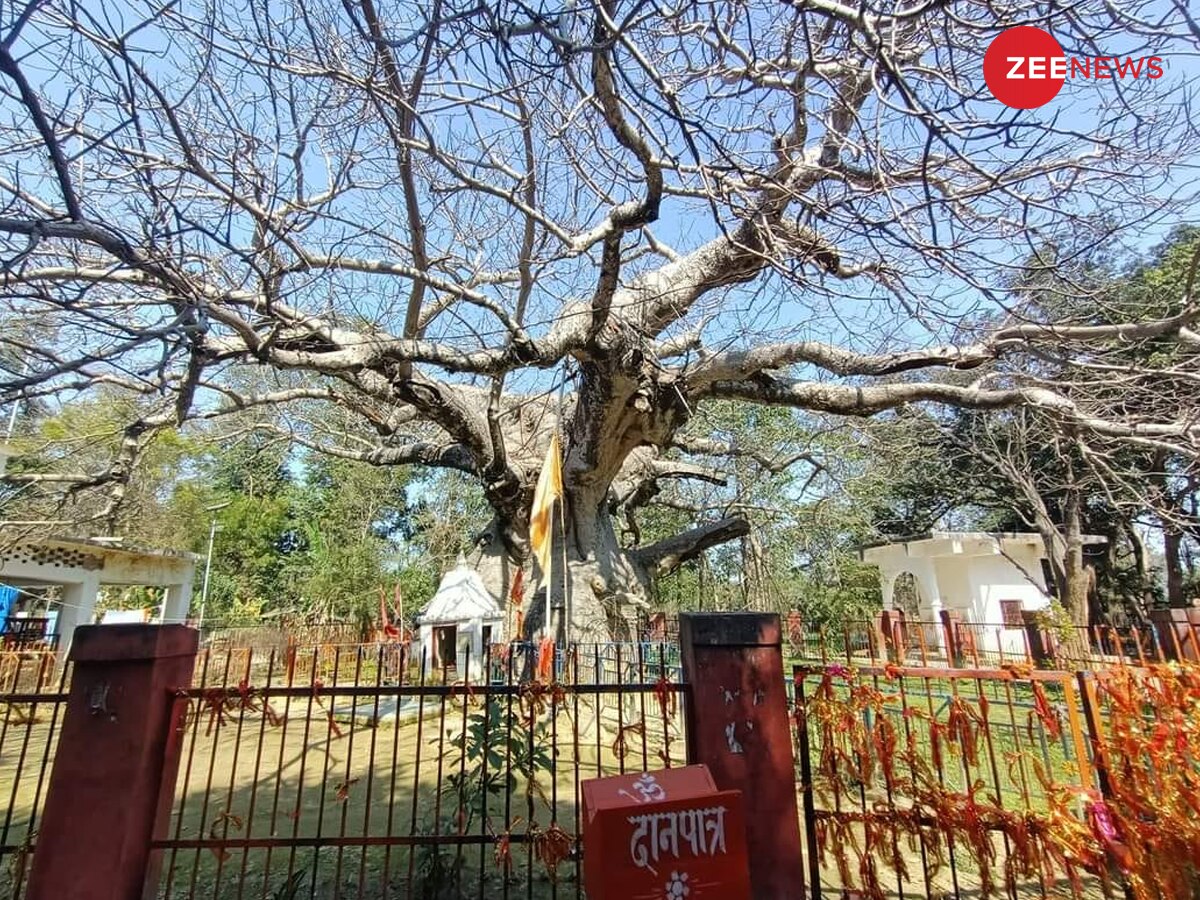 કિંતૂર