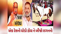 ‘નાચનારા ઘોડા પર વરઘોડો કાઢવો છે તો કોંગ્રેસવાળાને બોલાવી લેજો’ નીતિન કાકા બગડ્યાં!