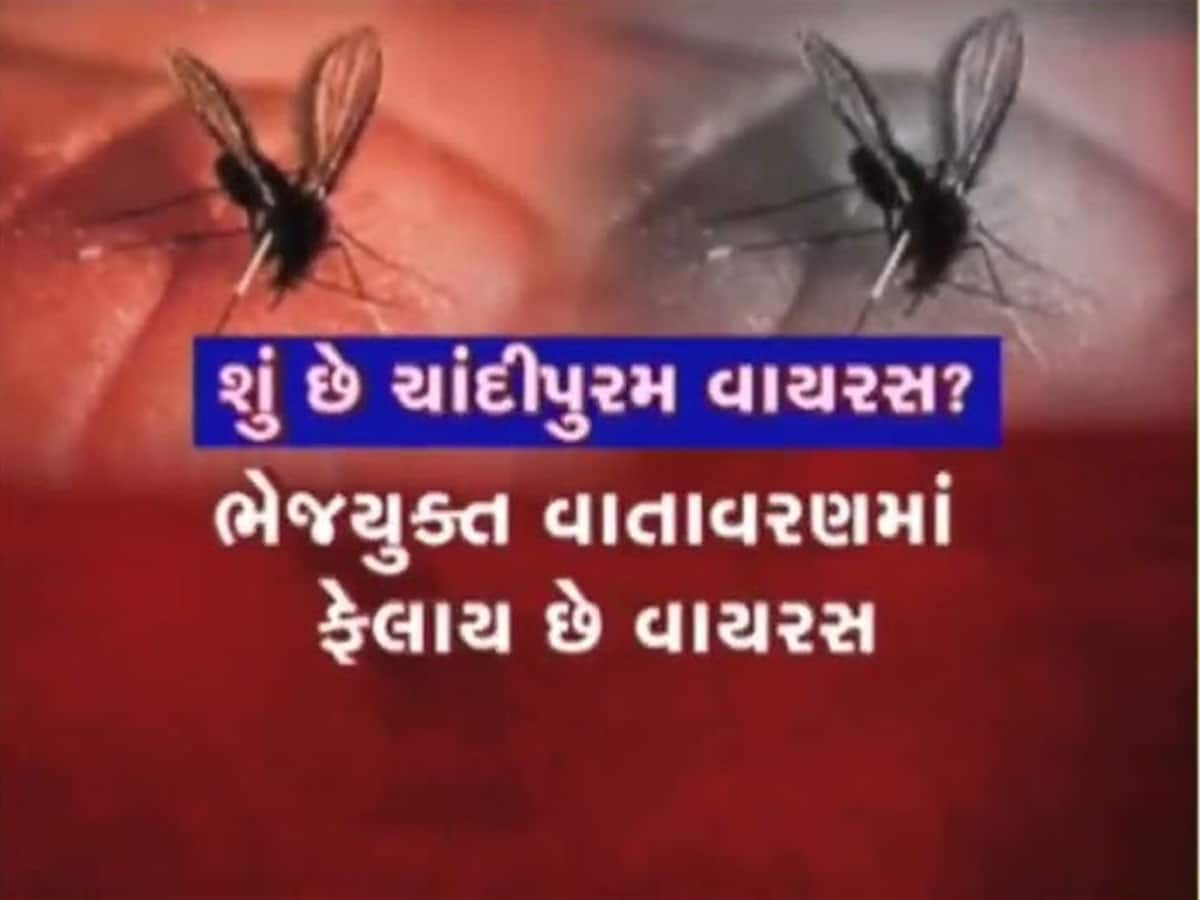 ગુજરાતમાં કોલેરા બાદ ચાંદીપુરમ ફેલાયો, આ એક માખીથી બચીને રહેજો