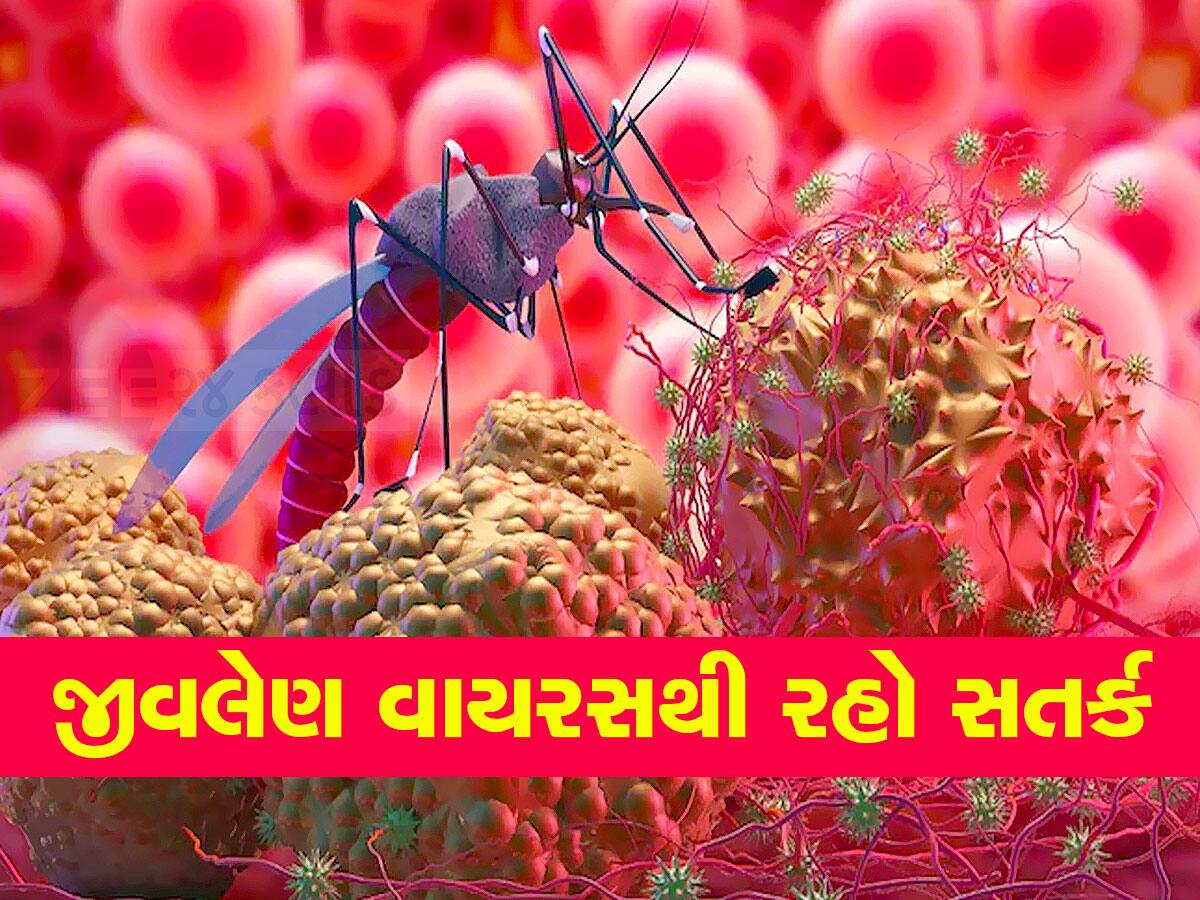 Chandipura Virus Outbreak: ગુજરાતમાં ઘાતક ચાંદીપુરા વાયરસનું સંકટ! સીધી મગજ પર કરે છે અસર, લક્ષણો ખાસ જાણો