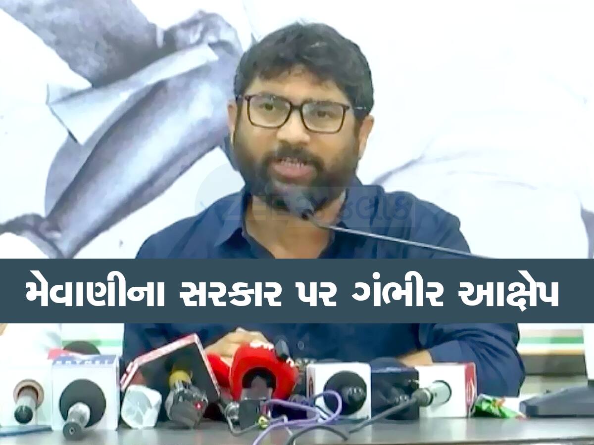 મેવાણીનો સનસનાટીભર્યો આક્ષેપ : કોંગ્રેસને મત આપનારાઓને ટાર્ગેટ કરાય છે, આ બે જ્ઞાતિ બની ભોગ મેવાણીનો સનસનાટીભર્યો આક્ષેપ : કોંગ્રેસને મત આપનારાઓને ટાર્ગેટ કરાય છે, આ બે જ્ઞાતિ બની ભોગ