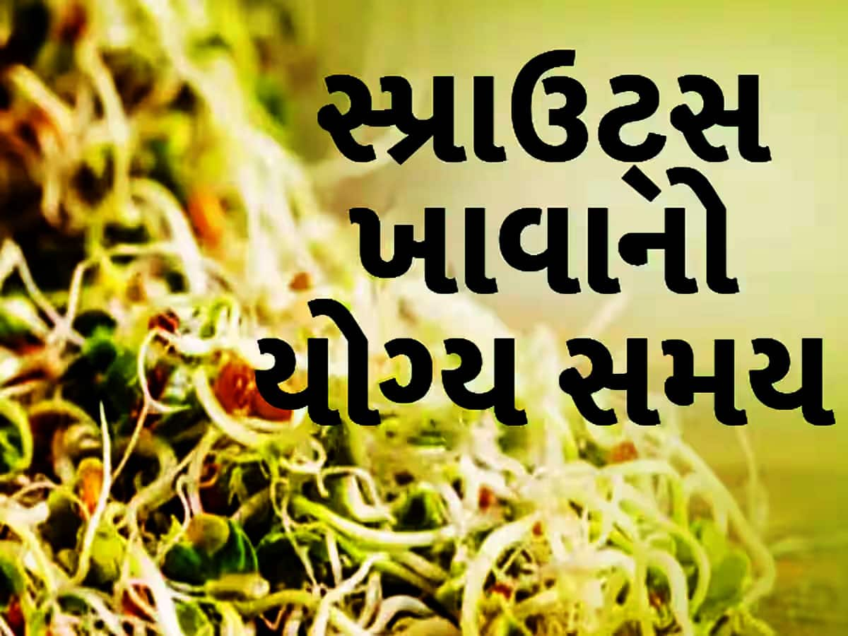 ચોમાસામાં ફણગાવેલાં કઠોળ ખવાય કે નહીં? જાણો કઈ ભૂલ પડી શકે છે ભારે