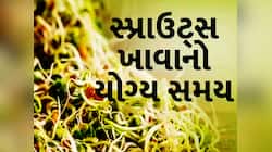 ચોમાસામાં ફણગાવેલાં કઠોળ ખવાય કે નહીં? જાણો કઈ ભૂલ પડી શકે છે ભારે
