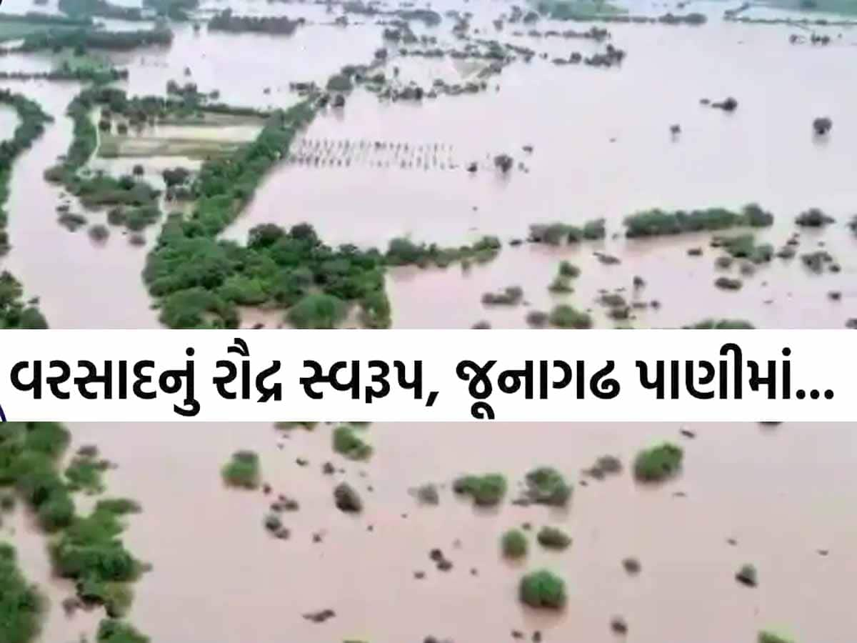 જૂનાગઢમાં ભારેથી અતિભારે વરસાદે ભુક્કા કાઢ્યા! જાણો જળબંબાકાર પછી કેટલાં ગામોનો સંપર્ક કપાયો?