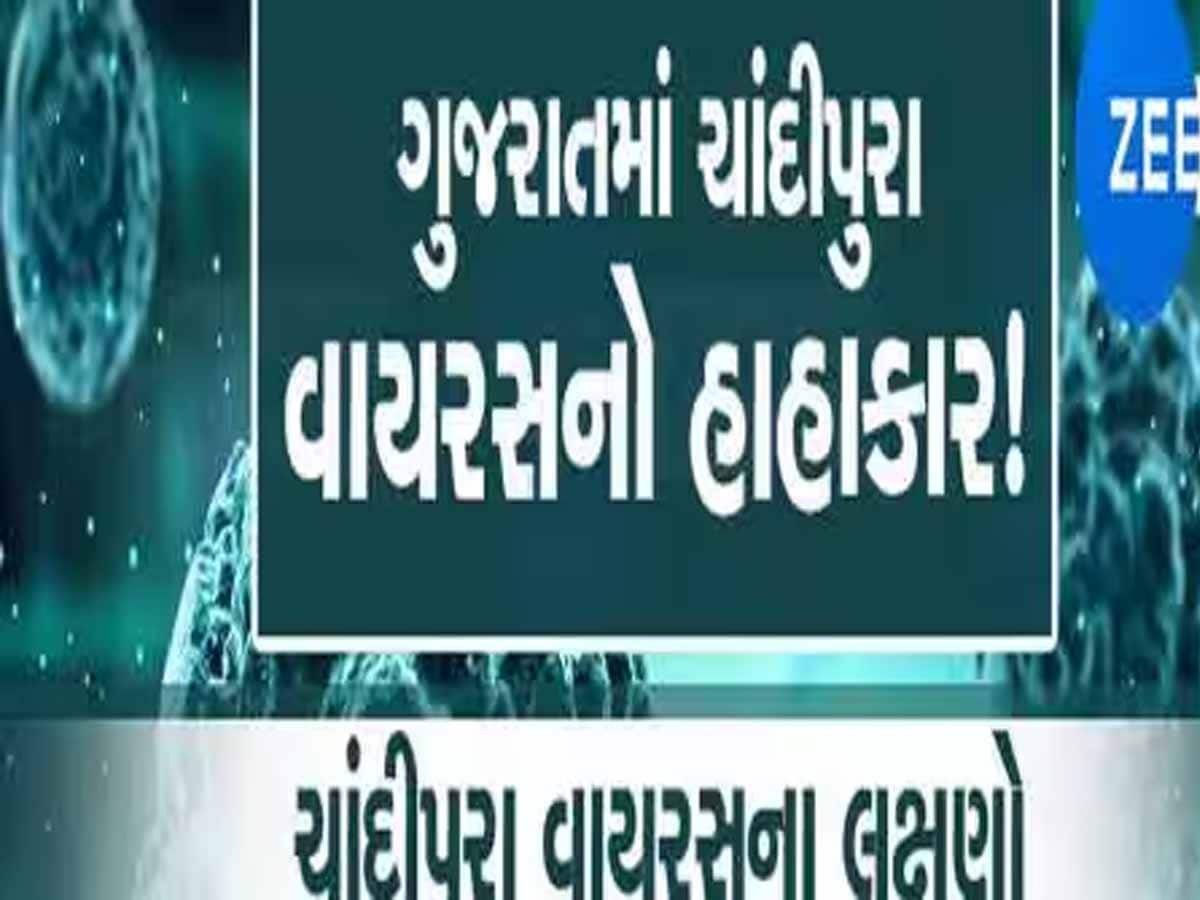 કાળમુખા કોરોના બાદ ગુજરાતમાં ચાંદીપુરા વાયરસથી હાહાકાર; 27 બાળકોનાં મોત, 71 શંકાસ્પદ કેસ નોંધાયા