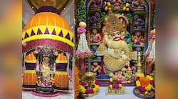 ઘર બેઠા કરો દર્શન! સાળંગપુરમાં ગુરુ પૂર્ણિમાની ઉત્સાહભેર ઉજવણી; દાદાને સુવર્ણ શણગાર