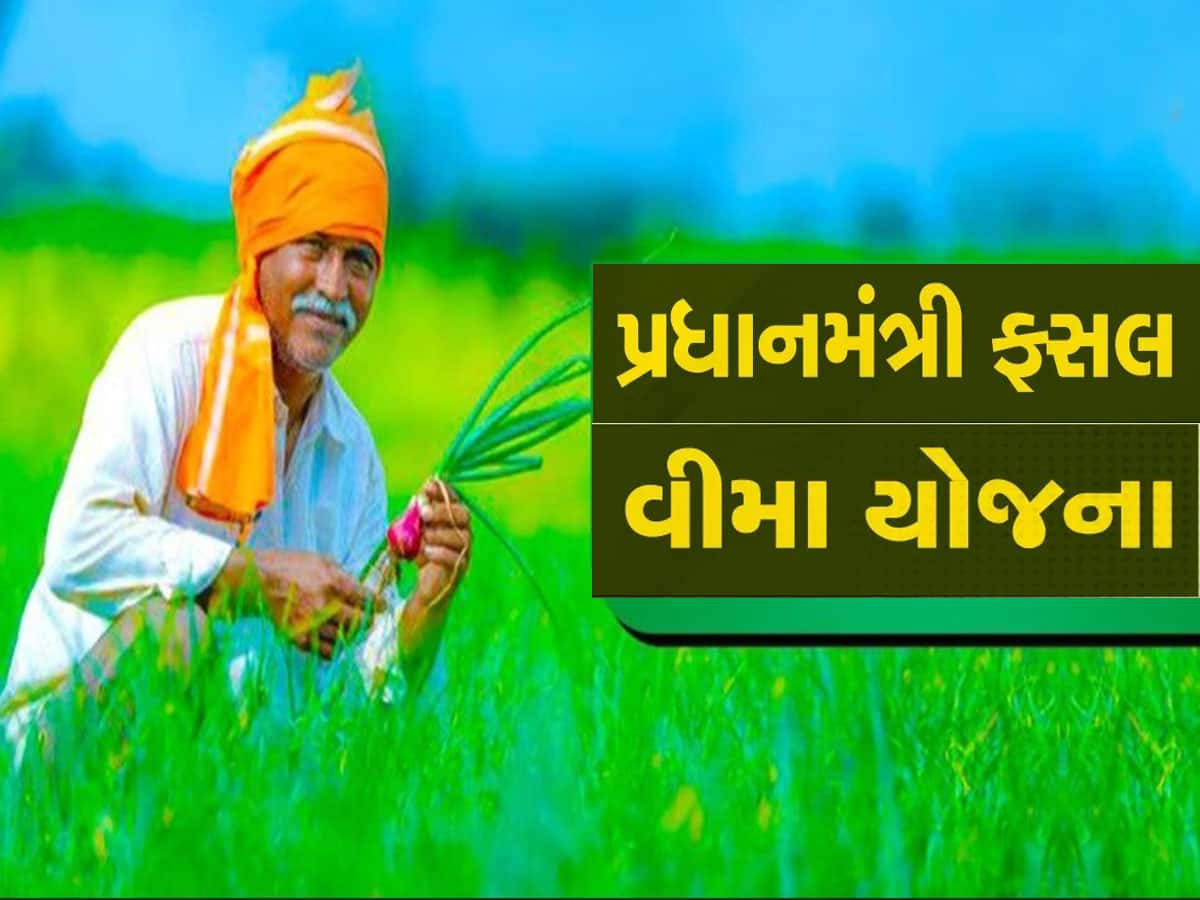 કેવી રીતે મળશે પાક બીમા યોજનાનો લાભ અને કોનો સંપર્ક કરવો, આ રહી A To Z માહિતી