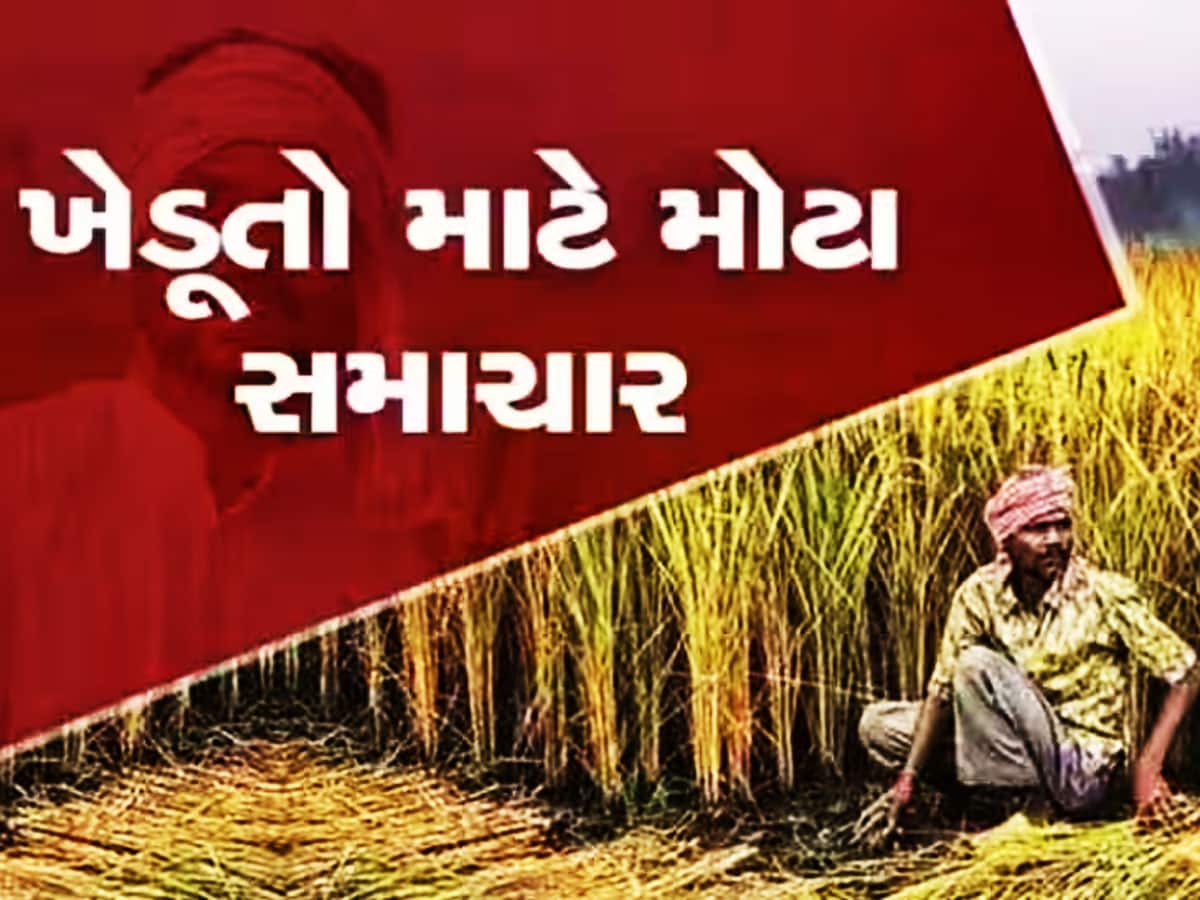 મહેનત બાતલ ના કાઢવી હોય તો ગુજરાતના ખેડૂતોએ અચુક જાણવી જોઈએ સરકારની આ ગાઈડલાઈન