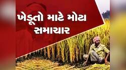 મહેનત બાતલ ના કાઢવી હોય તો ગુજરાતના ખેડૂતોએ અચુક જાણવી જોઈએ સરકારની આ ગાઈડલાઈન