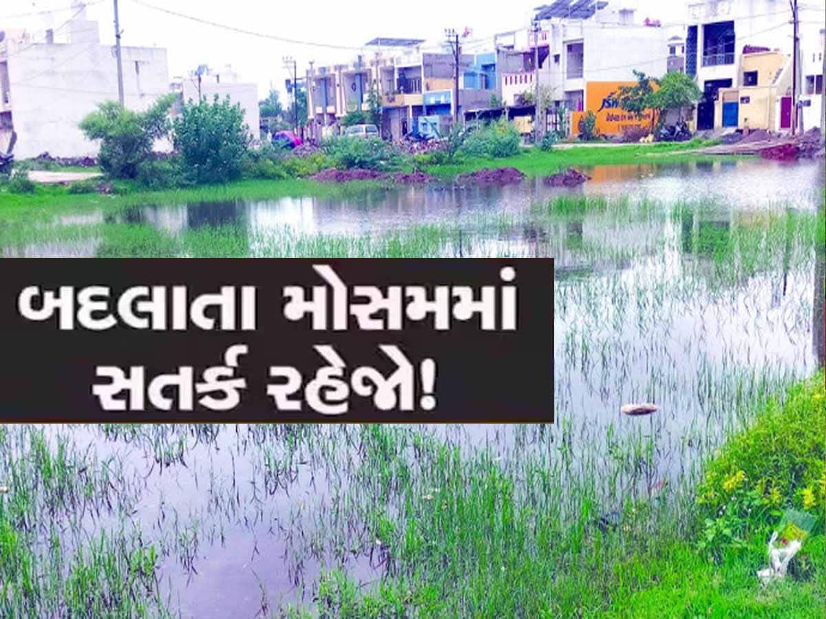 આ શહેરમાં ફેલાયો ચાંદીપુરા કરતાં ખતરનાક જીવલેણ રોગ, બાળકો બની શકે છે ભોગ!