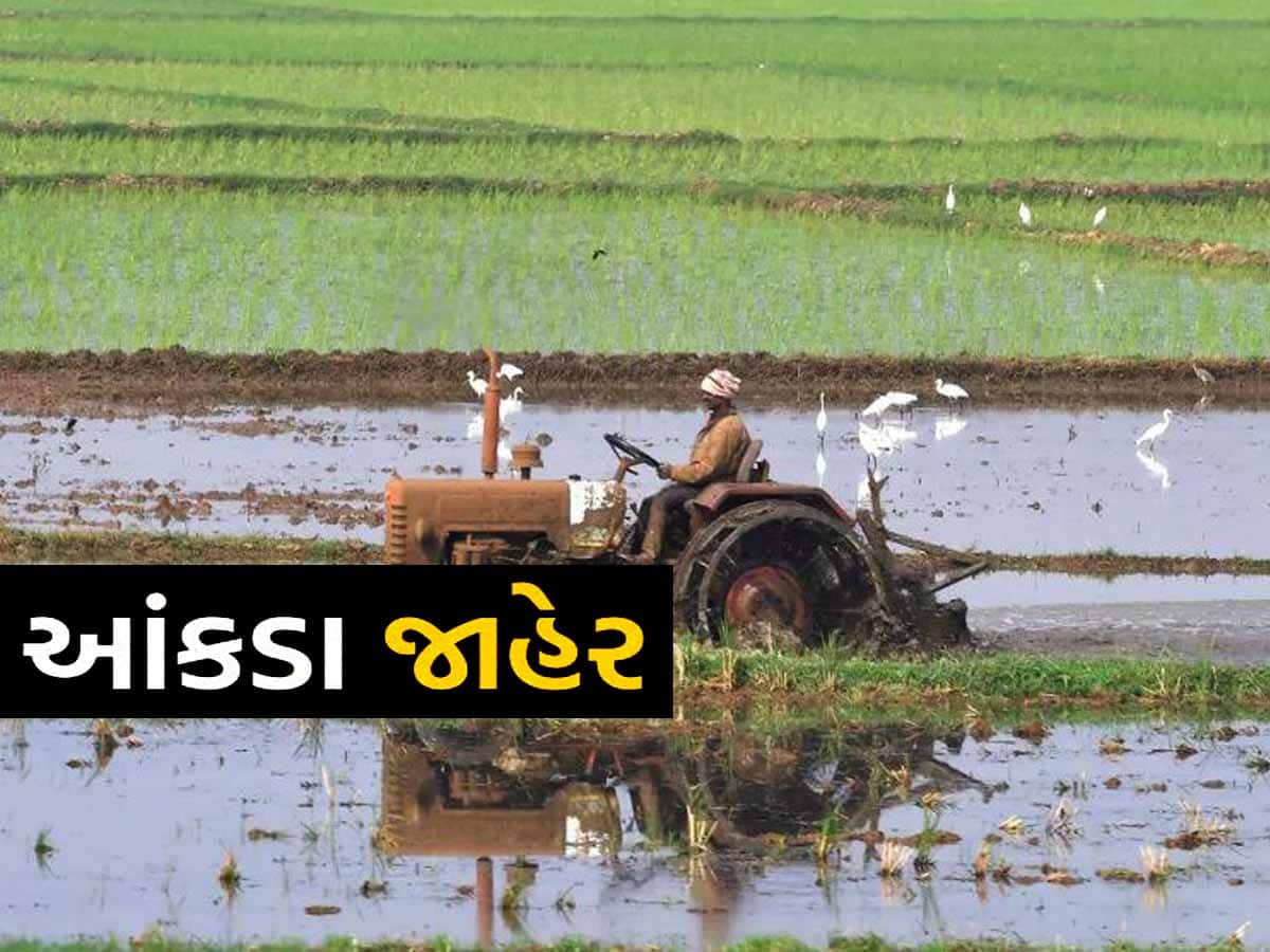 ગુજરાતના ખેડૂતો મહિને કેટલું કમાય છે? દેશના તમામ રાજ્યોના ખેડૂતોની કમાણી જાહેર